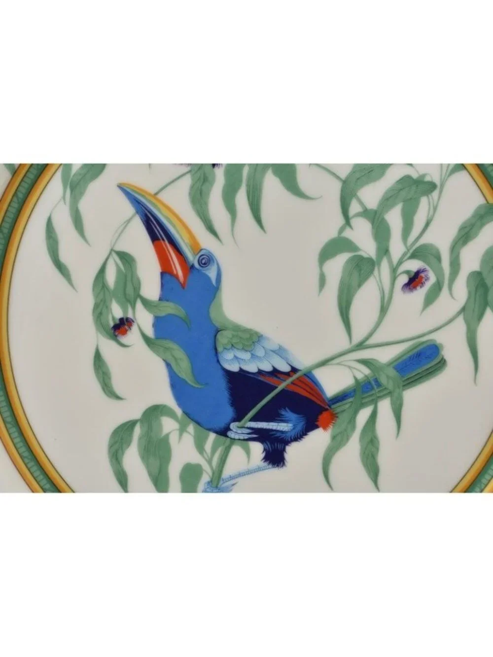 Hermes Toucan Plate Toucans 25 South American Bird